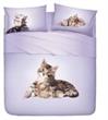 Completo Lenzuola la NATURA DI Bassetti LOVELY CATS