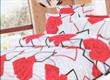 Set Copripiumino Matrimoniale JACQUARD 100% Poliestere SI6543-13