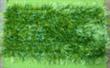 Tappeto Shaggy Pelo Lungo Verde