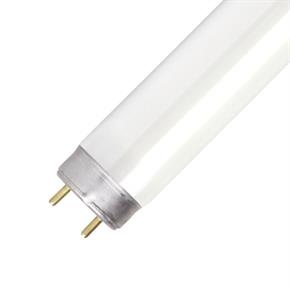 Lampada a Neon di Ricambio per Zanzariera Elettrica da FL 10W T8 BL Lampadina